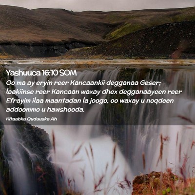 Picture 02 - Yashuuca 16:10 SOM - Oo ma ay eryin reer Kancaankii degganaa Geser; - Bible Verse Picture