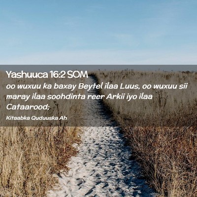Picture 02 - Yashuuca 16:2 SOM - oo wuxuu ka baxay Beytel ilaa Luus, oo wuxuu sii - Bible Verse Picture
