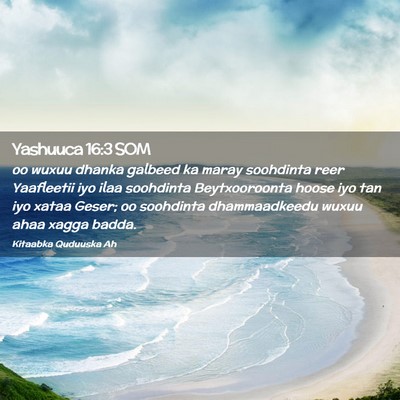 Picture 02 - Yashuuca 16:3 SOM - oo wuxuu dhanka galbeed ka maray soohdinta reer - Bible Verse Picture