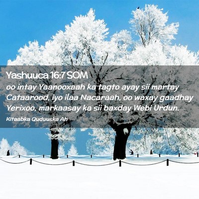 Picture 02 - Yashuuca 16:7 SOM - oo intay Yaanooxaah ka tagto ayay sii martay - Bible Verse Picture