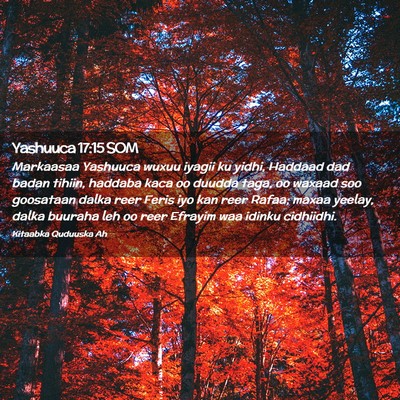 Picture 02 - Yashuuca 17:15 SOM - Markaasaa Yashuuca wuxuu iyagii ku yidhi, Haddaad - Bible Verse Picture