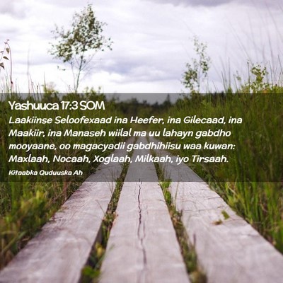 Picture 02 - Yashuuca 17:3 SOM - Laakiinse Seloofexaad ina Heefer, ina Gilecaad, - Bible Verse Picture