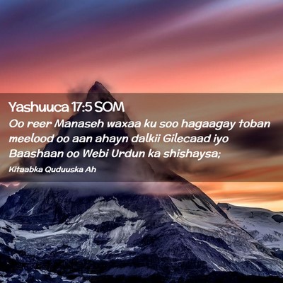 Picture 02 - Yashuuca 17:5 SOM - Oo reer Manaseh waxaa ku soo hagaagay toban - Bible Verse Picture