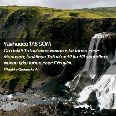 Picture 02 - Yashuuca 17:8 SOM - Oo dalkii Tafuu'axna waxaa iska lahaa reer - Bible Verse Picture