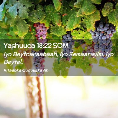 Picture 02 - Yashuuca 18:22 SOM - iyo Beytcaraabaah, iyo Semaarayim, iyo - Bible Verse Picture