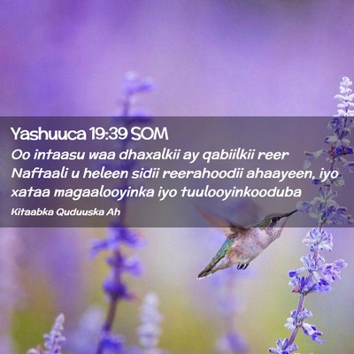 Picture 02 - Yashuuca 19:39 SOM - Oo intaasu waa dhaxalkii ay qabiilkii reer - Bible Verse Picture