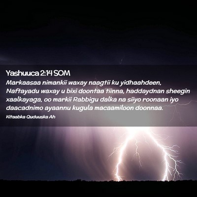 Picture 02 - Yashuuca 2:14 SOM - Markaasaa nimankii waxay naagtii ku yidhaahdeen, - Bible Verse Picture