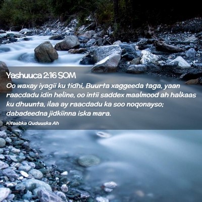 Picture 02 - Yashuuca 2:16 SOM - Oo waxay iyagii ku tidhi, Buurta xaggeeda taga, - Bible Verse Picture