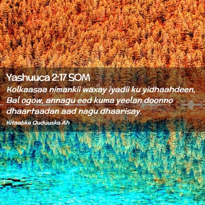 Picture 02 - Yashuuca 2:17 SOM - Kolkaasaa nimankii waxay iyadii ku yidhaahdeen, - Bible Verse Picture