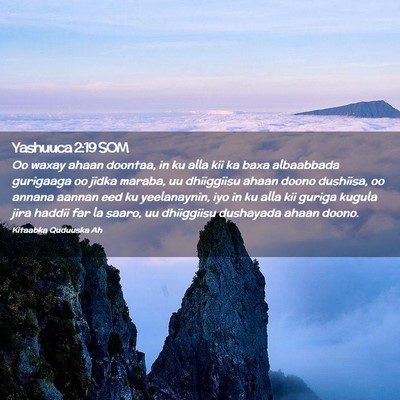 Picture 02 - Yashuuca 2:19 SOM - Oo waxay ahaan doontaa, in ku alla kii ka baxa - Bible Verse Picture