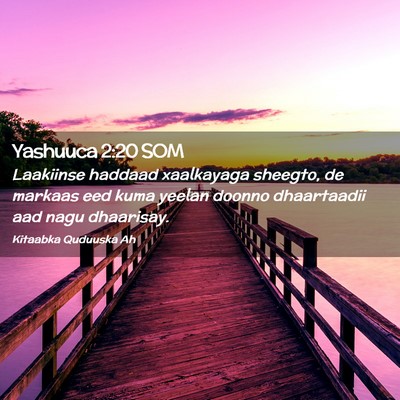 Picture 02 - Yashuuca 2:20 SOM - Laakiinse haddaad xaalkayaga sheegto, de markaas - Bible Verse Picture