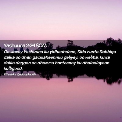 Picture 02 - Yashuuca 2:24 SOM - Oo waxay Yashuuca ku yidhaahdeen, Sida runta - Bible Verse Picture