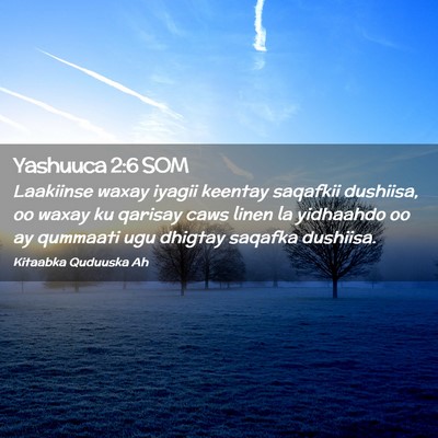 Picture 02 - Yashuuca 2:6 SOM - Laakiinse waxay iyagii keentay saqafkii dushiisa, - Bible Verse Picture