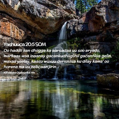 Picture 02 - Yashuuca 20:5 SOM - Oo haddii kan dhiigga ka aarsadaa uu soo eryado, - Bible Verse Picture