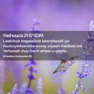 Picture 02 - Yashuuca 21:12 SOM - Laakiinse magaalada beeraheedii iyo - Bible Verse Picture