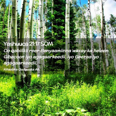 Picture 02 - Yashuuca 21:17 SOM - Oo qabiilkii reer Benyaamiinna waxay ka heleen - Bible Verse Picture