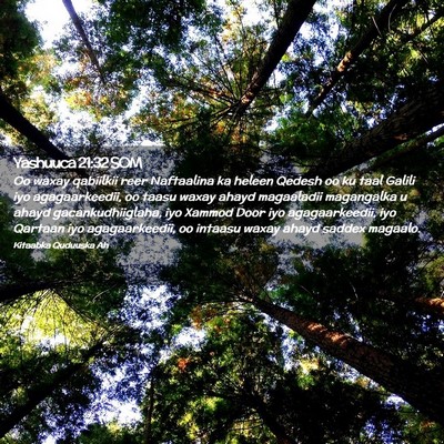 Picture 02 - Yashuuca 21:32 SOM - Oo waxay qabiilkii reer Naftaalina ka heleen - Bible Verse Picture