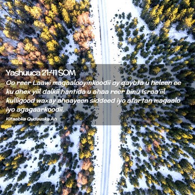 Picture 02 - Yashuuca 21:41 SOM - Oo reer Laawi magaalooyinkoodii ay qaybta u - Bible Verse Picture