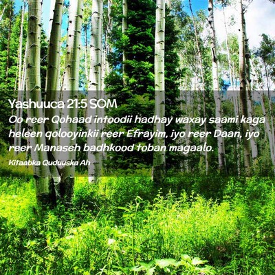 Picture 02 - Yashuuca 21:5 SOM - Oo reer Qohaad intoodii hadhay waxay saami kaga - Bible Verse Picture