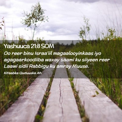 Picture 02 - Yashuuca 21:8 SOM - Oo reer binu Israa'iil magaalooyinkaas iyo - Bible Verse Picture