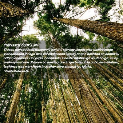 Picture 02 - Yashuuca 22:28 SOM - Sidaas daraaddeed waxaannu isnidhi, Markay sidaas - Bible Verse Picture