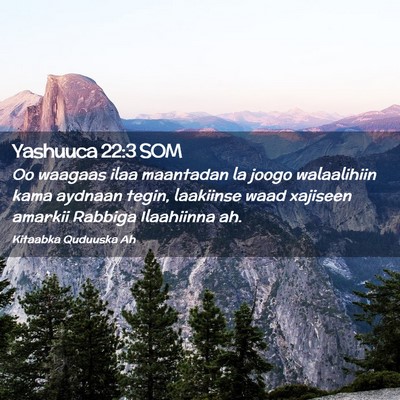 Picture 02 - Yashuuca 22:3 SOM - Oo waagaas ilaa maantadan la joogo walaalihiin - Bible Verse Picture