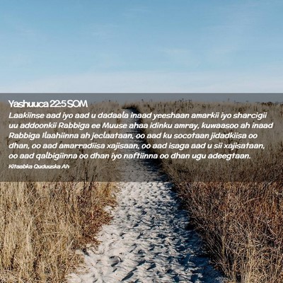 Picture 02 - Yashuuca 22:5 SOM - Laakiinse aad iyo aad u dadaala inaad yeeshaan - Bible Verse Picture