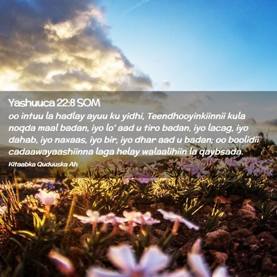 Picture 02 - Yashuuca 22:8 SOM - oo intuu la hadlay ayuu ku yidhi, - Bible Verse Picture