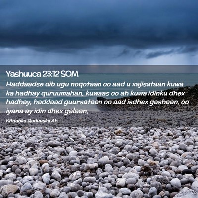 Picture 02 - Yashuuca 23:12 SOM - Haddaadse dib ugu noqotaan oo aad u xajisataan - Bible Verse Picture