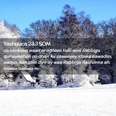 Picture 02 - Yashuuca 23:3 SOM - oo idinkuna waad aragteen kulli wixii Rabbigu - Bible Verse Picture