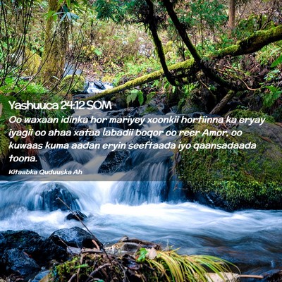 Picture 02 - Yashuuca 24:12 SOM - Oo waxaan idinka hor mariyey xoonkii hortiinna ka - Bible Verse Picture