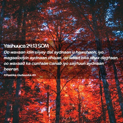 Picture 02 - Yashuuca 24:13 SOM - Oo waxaan idin siiyey dal aydnaan u hawshoon, iyo - Bible Verse Picture