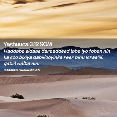 Picture 02 - Yashuuca 3:12 SOM - Haddaba sidaas daraaddeed laba iyo toban nin ka - Bible Verse Picture