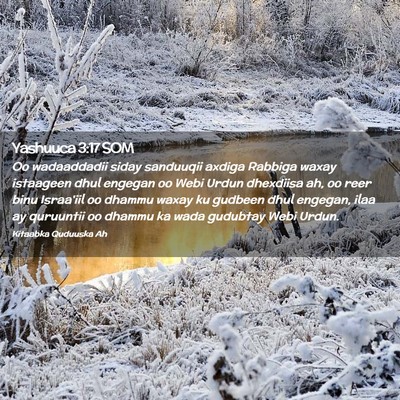 Picture 02 - Yashuuca 3:17 SOM - Oo wadaaddadii siday sanduuqii axdiga Rabbiga - Bible Verse Picture