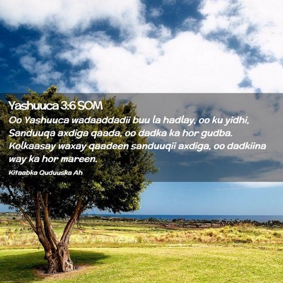 Picture 02 - Yashuuca 3:6 SOM - Oo Yashuuca wadaaddadii buu la hadlay, oo ku - Bible Verse Picture