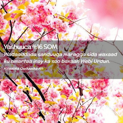 Picture 02 - Yashuuca 4:16 SOM - Wadaaddada sanduuqa maragga sida waxaad ku - Bible Verse Picture