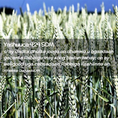 Picture 02 - Yashuuca 4:24 SOM - si ay dadka dhulka jooga oo dhammu u ogaadaan - Bible Verse Picture