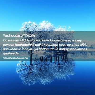 Picture 02 - Yashuuca 5:11 SOM - Oo maalintii Iidda Kormaridda ka dambaysay waxay - Bible Verse Picture