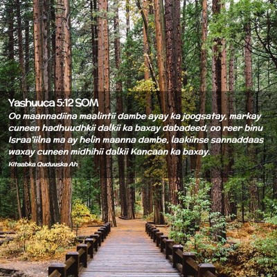 Picture 02 - Yashuuca 5:12 SOM - Oo maannadiina maalintii dambe ayay ka joogsatay, - Bible Verse Picture