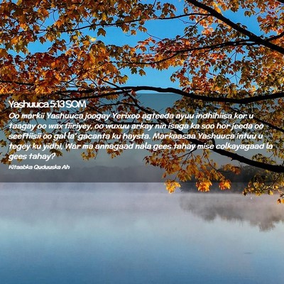 Picture 02 - Yashuuca 5:13 SOM - Oo markii Yashuuca joogay Yerixoo agteeda ayuu - Bible Verse Picture