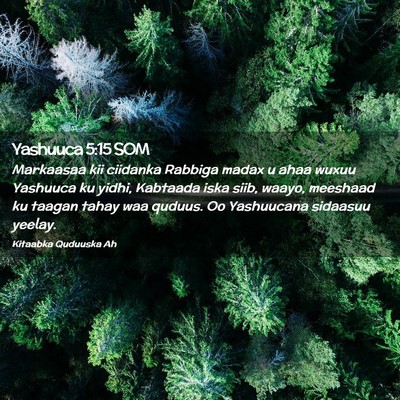 Picture 02 - Yashuuca 5:15 SOM - Markaasaa kii ciidanka Rabbiga madax u ahaa wuxuu - Bible Verse Picture