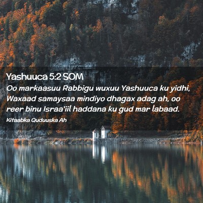 Picture 02 - Yashuuca 5:2 SOM - Oo markaasuu Rabbigu wuxuu Yashuuca ku yidhi, - Bible Verse Picture