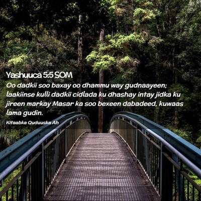 Picture 02 - Yashuuca 5:5 SOM - Oo dadkii soo baxay oo dhammu way gudnaayeen; - Bible Verse Picture