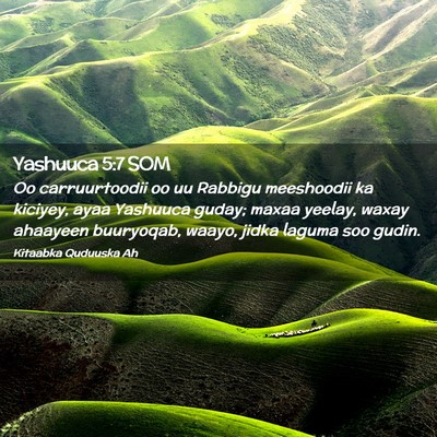 Picture 02 - Yashuuca 5:7 SOM - Oo carruurtoodii oo uu Rabbigu meeshoodii ka - Bible Verse Picture