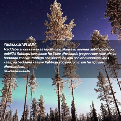 Picture 02 - Yashuuca 7:14 SOM - Haddaba aroorta waxaa laydiin soo dhowayn doonaa - Bible Verse Picture
