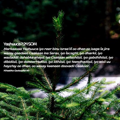 Picture 02 - Yashuuca 7:24 SOM - Markaasaa Yashuuca iyo reer binu Israa'iil oo - Bible Verse Picture