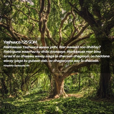 Picture 02 - Yashuuca 7:25 SOM - Markaasaa Yashuuca wuxuu yidhi, War maxaad noo - Bible Verse Picture
