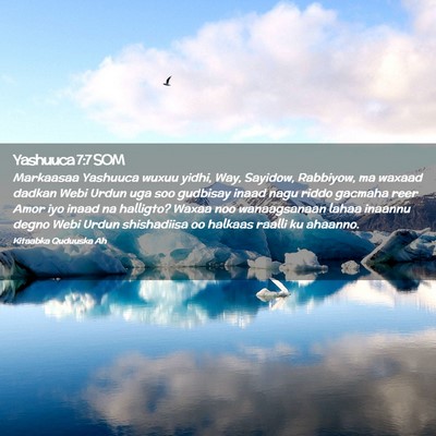 Picture 02 - Yashuuca 7:7 SOM - Markaasaa Yashuuca wuxuu yidhi, Way, Sayidow, - Bible Verse Picture