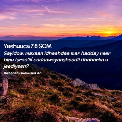 Picture 02 - Yashuuca 7:8 SOM - Sayidow, maxaan idhaahdaa mar hadday reer binu - Bible Verse Picture