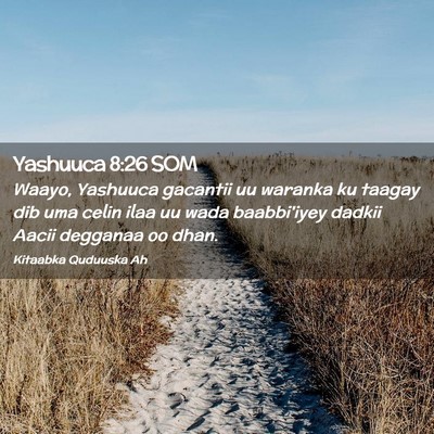 Picture 02 - Yashuuca 8:26 SOM - Waayo, Yashuuca gacantii uu waranka ku taagay dib - Bible Verse Picture